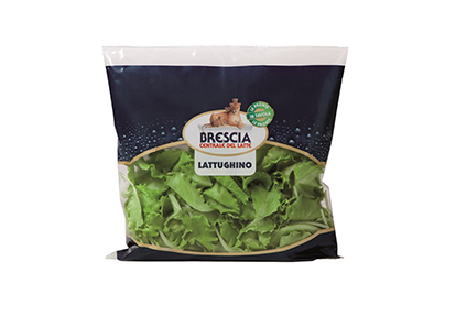 Lattughino