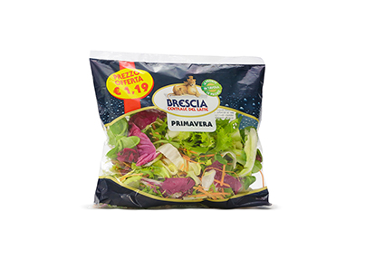 Insalata Primavera