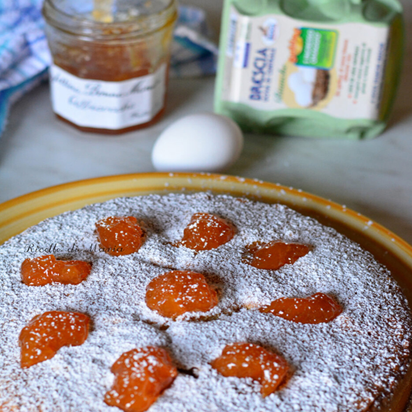 Torta morbida alla marmellata
